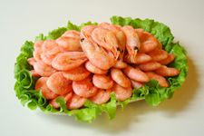 ��(du��)�r������