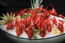 小龍蝦的做法 小龍蝦的做法