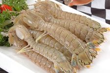 琵琶蝦的做法 琵琶蝦的做法