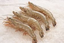 南美白對蝦的做法 南美白對蝦的做法