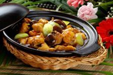 �����F�u������