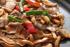 �㹽��Ƭ������