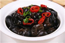 ����ľ��������